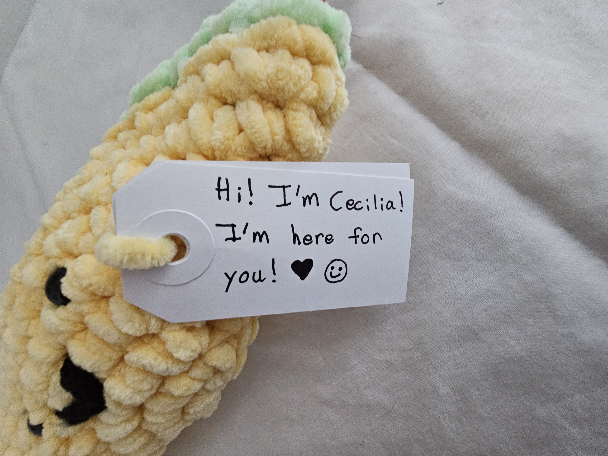 Hug-A-Taco: Crocheted Emotional Support Taco - Image 6